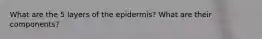 What are the 5 layers of the epidermis? What are their components?