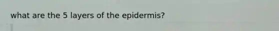 what are the 5 layers of the epidermis?