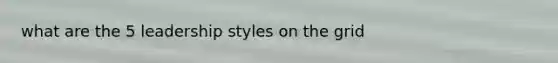 what are the 5 leadership styles on the grid