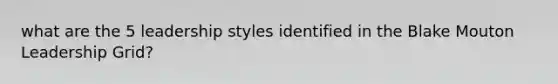 what are the 5 leadership styles identified in the Blake Mouton Leadership Grid?