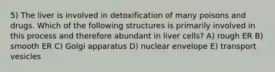 5) The liver is involved in detoxification of many poisons and drugs. Which of the following structures is primarily involved in this process and therefore abundant in liver cells? A) rough ER B) smooth ER C) Golgi apparatus D) nuclear envelope E) transport vesicles