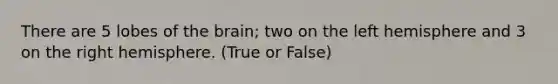 There are 5 lobes of the brain; two on the left hemisphere and 3 on the right hemisphere. (True or False)