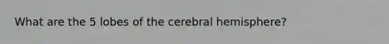 What are the 5 lobes of the cerebral hemisphere?