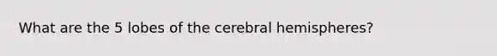 What are the 5 lobes of the cerebral hemispheres?