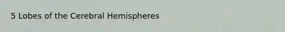 5 Lobes of the Cerebral Hemispheres