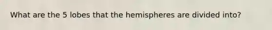 What are the 5 lobes that the hemispheres are divided into?