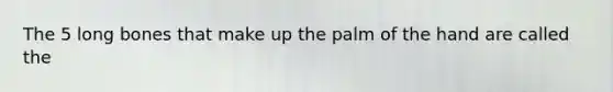 The 5 long bones that make up the palm of the hand are called the