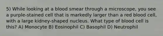 5) While looking at a blood smear through a microscope, you see a purple-stained cell that is markedly larger than a red blood cell, with a large kidney-shaped nucleus. What type of blood cell is this? A) Monocyte B) Eosinophil C) Basophil D) Neutrophil