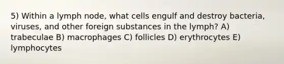 5) Within a lymph node, what cells engulf and destroy bacteria, viruses, and other foreign substances in the lymph? A) trabeculae B) macrophages C) follicles D) erythrocytes E) lymphocytes