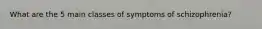 What are the 5 main classes of symptoms of schizophrenia?