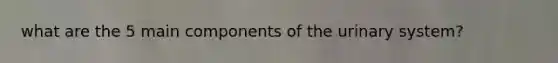 what are the 5 main components of the urinary system?