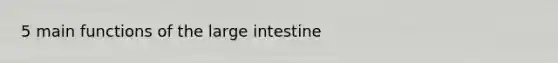 5 main functions of the large intestine