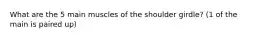 What are the 5 main muscles of the shoulder girdle? (1 of the main is paired up)