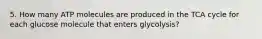 5. How many ATP molecules are produced in the TCA cycle for each glucose molecule that enters glycolysis?