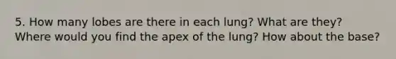 5. How many lobes are there in each lung? What are they? Where would you find the apex of the lung? How about the base?