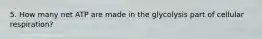 5. How many net ATP are made in the glycolysis part of cellular respiration?