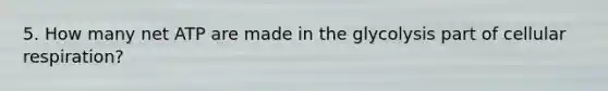 5. How many net ATP are made in the glycolysis part of cellular respiration?