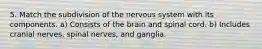 5. Match the subdivision of the nervous system with its components. a) Consists of the brain and spinal cord. b) Includes cranial nerves, spinal nerves, and ganglia.