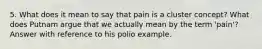 5. What does it mean to say that pain is a cluster concept? What does Putnam argue that we actually mean by the term 'pain'? Answer with reference to his polio example.