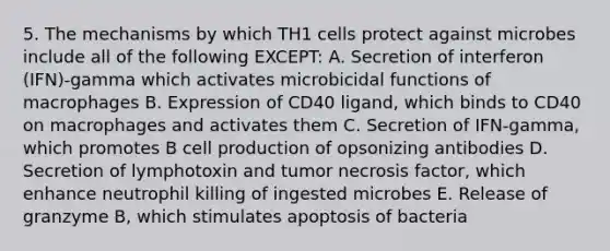 5. The mechanisms by which TH1 cells protect against microbes include all of the following EXCEPT: A. Secretion of interferon (IFN)-gamma which activates microbicidal functions of macrophages B. Expression of CD40 ligand, which binds to CD40 on macrophages and activates them C. Secretion of IFN-gamma, which promotes B cell production of opsonizing antibodies D. Secretion of lymphotoxin and tumor necrosis factor, which enhance neutrophil killing of ingested microbes E. Release of granzyme B, which stimulates apoptosis of bacteria