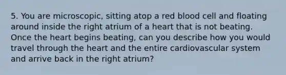 5. You are microscopic, sitting atop a red blood cell and floating around inside the right atrium of a heart that is not beating. Once the heart begins beating, can you describe how you would travel through the heart and the entire cardiovascular system and arrive back in the right atrium?