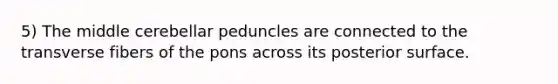 5) The middle cerebellar peduncles are connected to the transverse fibers of the pons across its posterior surface.