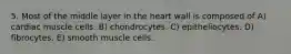 5. Most of the middle layer in the heart wall is composed of A) cardiac muscle cells. B) chondrocytes. C) epitheliocytes. D) fibrocytes. E) smooth muscle cells.