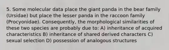 5. Some molecular data place the giant panda in the bear family (Ursidae) but place the lesser panda in the raccoon family (Procyonidae). Consequently, the morphological similarities of these two species are probably due to: A) inheritance of acquired characteristics B) inheritance of shared derived characters C) sexual selection D) possession of analogous structures