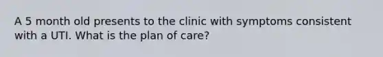 A 5 month old presents to the clinic with symptoms consistent with a UTI. What is the plan of care?