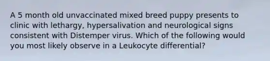 A 5 month old unvaccinated mixed breed puppy presents to clinic with lethargy, hypersalivation and neurological signs consistent with Distemper virus. Which of the following would you most likely observe in a Leukocyte differential?