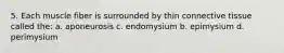 5. Each muscle fiber is surrounded by thin connective tissue called the: a. aponeurosis c. endomysium b. epimysium d. perimysium