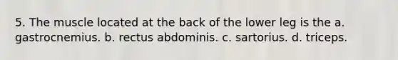 5. The muscle located at the back of the lower leg is the a. gastrocnemius. b. rectus abdominis. c. sartorius. d. triceps.