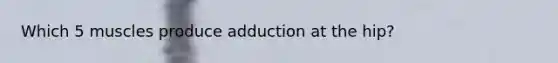 Which 5 muscles produce adduction at the hip?