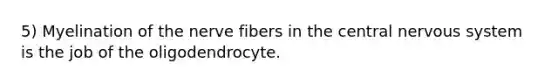 5) Myelination of the nerve fibers in the central nervous system is the job of the oligodendrocyte.