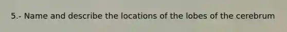 5.- Name and describe the locations of the lobes of the cerebrum