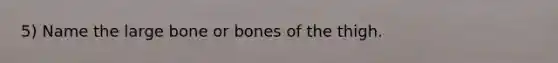 5) Name the large bone or bones of the thigh.