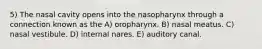 5) The nasal cavity opens into the nasopharynx through a connection known as the A) oropharynx. B) nasal meatus. C) nasal vestibule. D) internal nares. E) auditory canal.