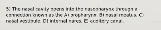 5) The nasal cavity opens into the nasopharynx through a connection known as the A) oropharynx. B) nasal meatus. C) nasal vestibule. D) internal nares. E) auditory canal.