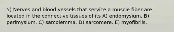 5) Nerves and blood vessels that service a muscle fiber are located in the connective tissues of its A) endomysium. B) perimysium. C) sarcolemma. D) sarcomere. E) myofibrils.