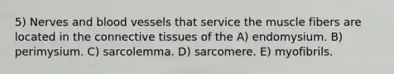 5) Nerves and blood vessels that service the muscle fibers are located in the connective tissues of the A) endomysium. B) perimysium. C) sarcolemma. D) sarcomere. E) myofibrils.