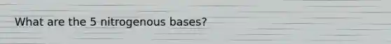 What are the 5 nitrogenous bases?