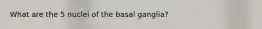 What are the 5 nuclei of the basal ganglia?