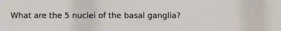 What are the 5 nuclei of the basal ganglia?