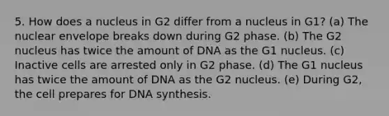 5. How does a nucleus in G2 differ from a nucleus in G1? (a) The nuclear envelope breaks down during G2 phase. (b) The G2 nucleus has twice the amount of DNA as the G1 nucleus. (c) Inactive cells are arrested only in G2 phase. (d) The G1 nucleus has twice the amount of DNA as the G2 nucleus. (e) During G2, the cell prepares for DNA synthesis.