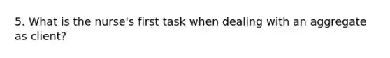 5. What is the nurse's first task when dealing with an aggregate as client?