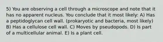 5) You are observing a cell through a microscope and note that it has no apparent nucleus. You conclude that it most likely: A) Has a peptidoglycan cell wall. (prokaryotic and bacteria, most likely) B) Has a cellulose cell wall. C) Moves by pseudopods. D) Is part of a multicellular animal. E) Is a plant cell.