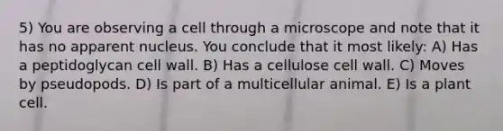 5) You are observing a cell through a microscope and note that it has no apparent nucleus. You conclude that it most likely: A) Has a peptidoglycan cell wall. B) Has a cellulose cell wall. C) Moves by pseudopods. D) Is part of a multicellular animal. E) Is a plant cell.