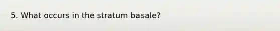 5. What occurs in the stratum basale?