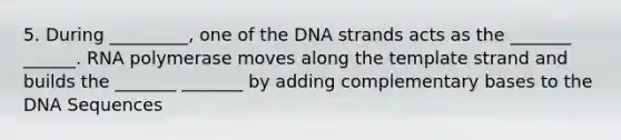 5. During _________, one of the DNA strands acts as the _______ ______. RNA polymerase moves along the template strand and builds the _______ _______ by adding complementary bases to the DNA Sequences