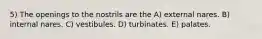 5) The openings to the nostrils are the A) external nares. B) internal nares. C) vestibules. D) turbinates. E) palates.